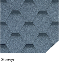 v8_4F51_21f