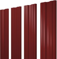 256204